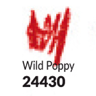 Wild Poppy - 24430